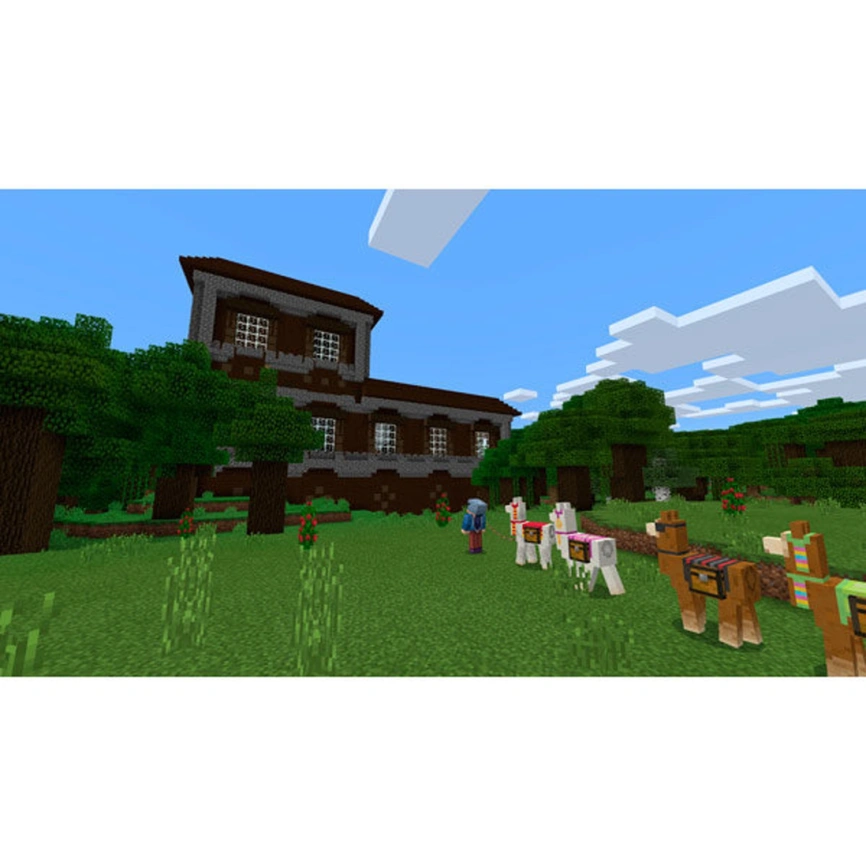 Игра Nintendo Minecraft (Русская версия) (Nintendo Switch) фото 4