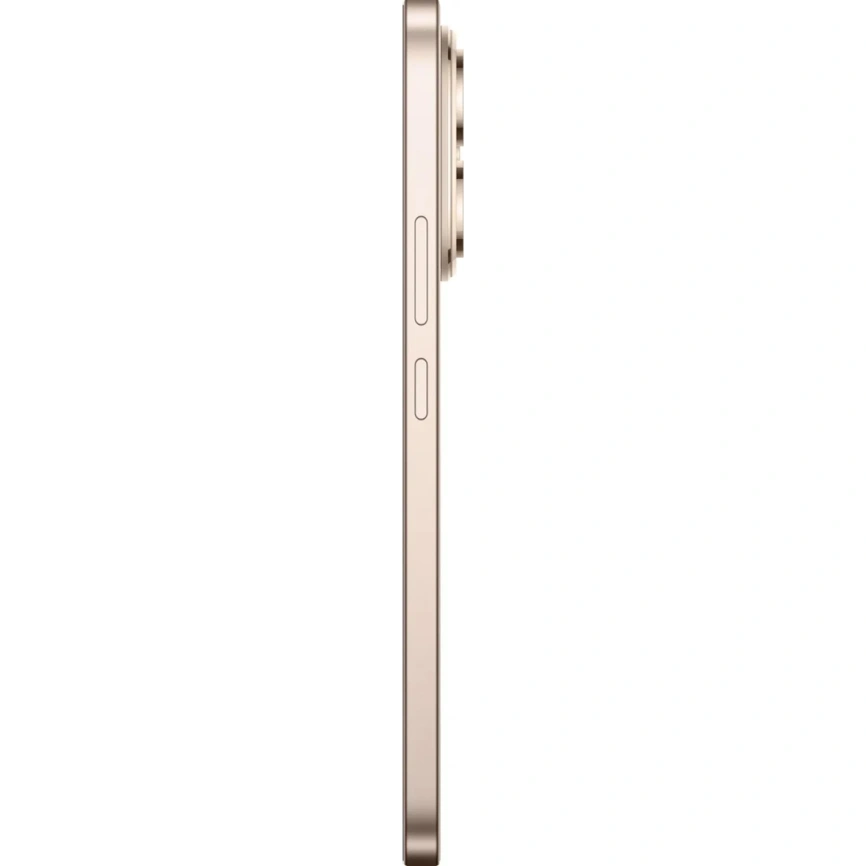 Смартфон Honor 400 12/256Gb Desert Gold фото 2